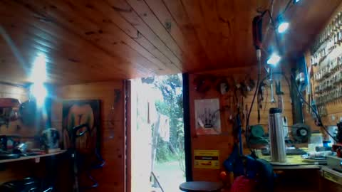 Snapshot of discretopasivo chatting on 13, 6, 2026 discretopasivo online show from 13, 6, 2026