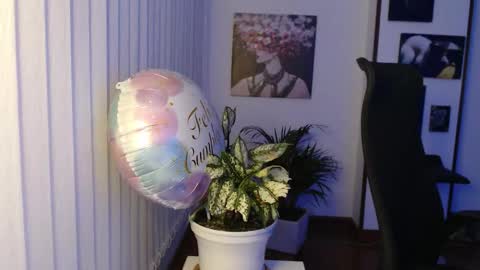 Snapshot of divineisis chatting on 23, 12, 2025 Hera online show from 23, 12, 2025