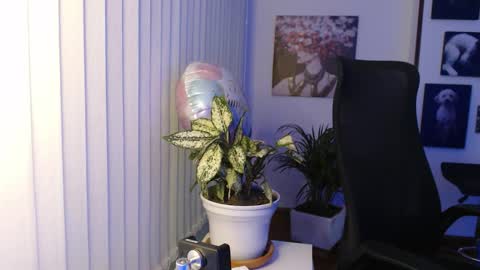 Snapshot of divineisis chatting on 16, 1, 2026 Hera online show from 16, 1, 2026