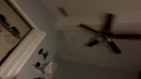 dixnice online show from 21, 2, 2026