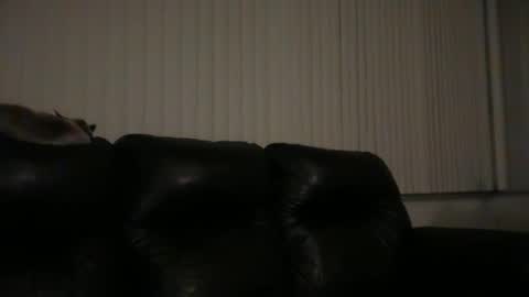 DJ Chaterbate online show from 31, 3, 2026