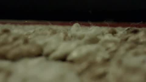 Mmmmgood online show from 24, 2, 2025