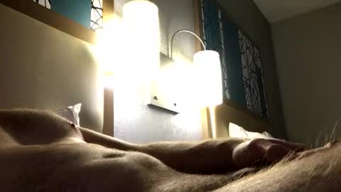 dl8642 online show from 18, 11, 2025