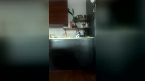 dm9313 online show from 27, 4, 2026