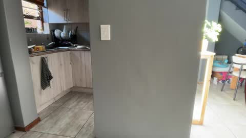 Dmitri online show from 28, 4, 2026