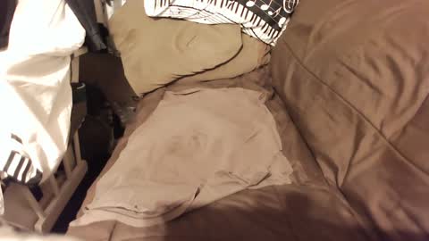 Snapshot of do4you2 chatting on 18, 1, 2025 do4you2 online show from 18, 1, 2025