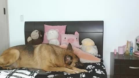 Auro and Santiago online show from 4, 3, 2025