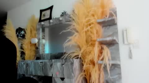 C E L E S T E  online show from 1, 4, 2026