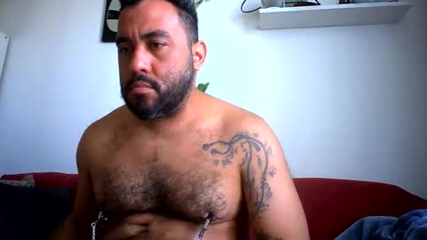 all fetishes online show from 25, 9, 2025