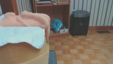 Don online show from 28, 2, 2025