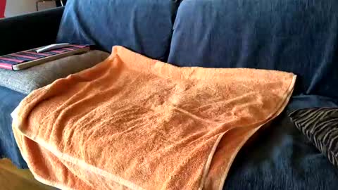 Alfredo online show from 7, 2, 2025