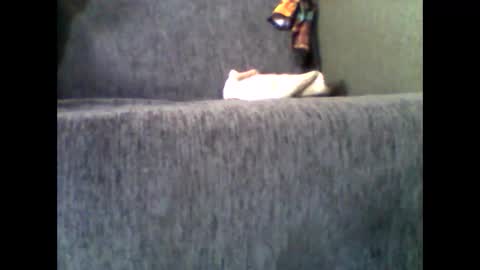 Alfredo online show from 10, 11, 2025