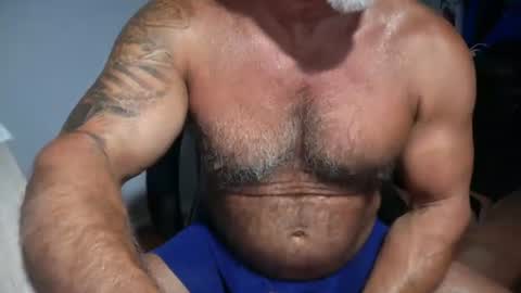 Snapshot of donk566 chatting on 21, 7, 2026 donk566 online show from 21, 7, 2026