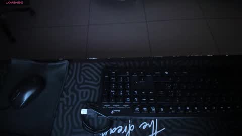  Donna Stonne  online show from 28, 9, 2025