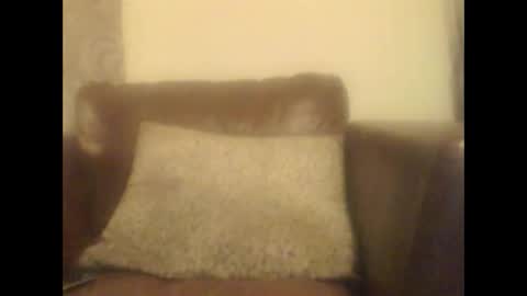 Snapshot of donniehardone chatting on 11, 4, 2026 donniehardone online show from 11, 4, 2026
