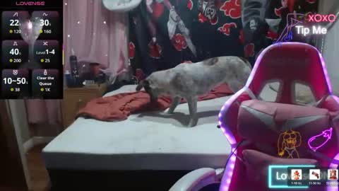 Angelic Angel Donny online show from 21, 12, 2025