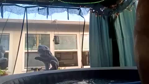 doobie1717 online show from 28, 9, 2025