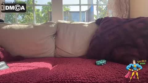 Snapshot of doodleman2077 chatting on 7, 10, 2025 doodleman2077 online show from 7, 10, 2025