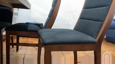 doogal233595 online show from 30, 10, 2025