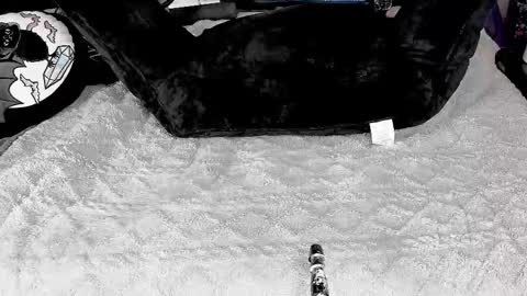 Snapshot of doomednympho chatting on 4, 3, 2025 DOOM online show from 4, 3, 2025