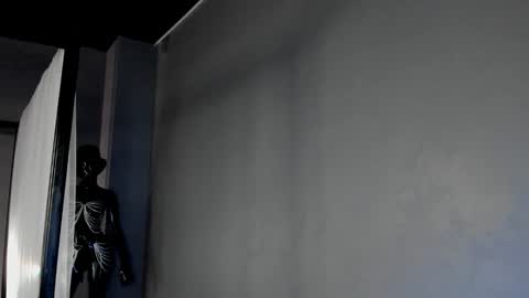 Dorothy Next stream on Monday at 3am-9am online show from 6, 3, 2025