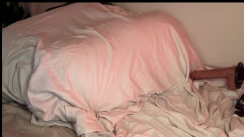 Snapshot of downsouthsillygirl chatting on 3, 6, 2026 Coral online show from 3, 6, 2026
