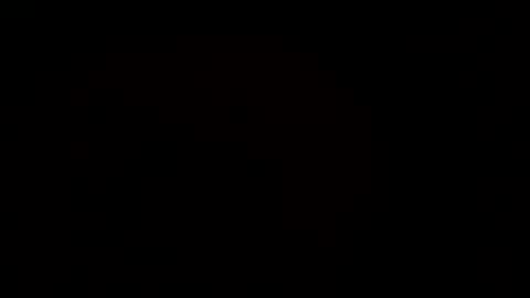 MrPirated online show from 8, 3, 2025