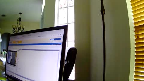 Dragonsita online show from 6, 11, 2025