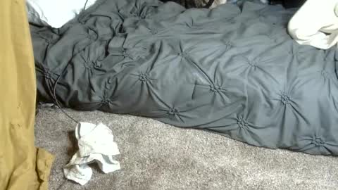 Dreadedted online show from 13, 2, 2026