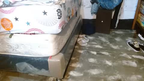 dreamreal online show from 29, 3, 2026