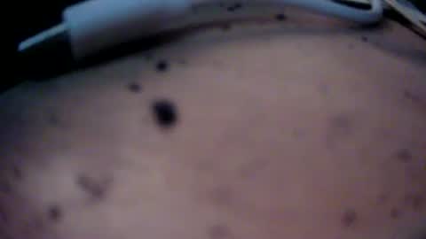 Snapshot of dreamy2020 chatting on 22, 1, 2025 dreamy2020 online show from 22, 1, 2025