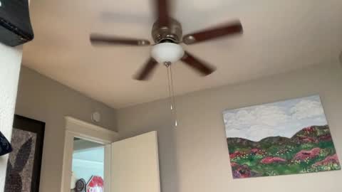 Snapshot of dreamyriri chatting on 17, 12, 2024 RIRI OR DREAMY online show from 17, 12, 2024