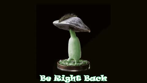 Tara  Sonny online show from 11, 2, 2025