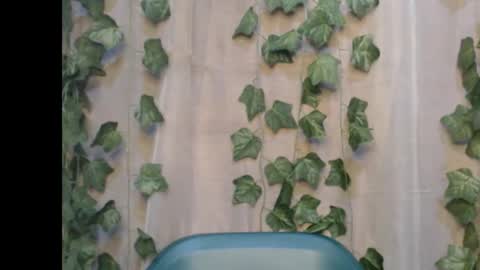 linda online show from 14, 9, 2025