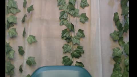 linda online show from 16, 9, 2025