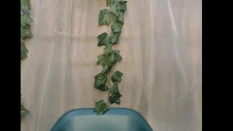 Snapshot of dripqueenx chatting on 15, 12, 2025 linda online show from 15, 12, 2025
