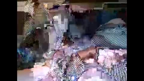 Snapshot of driver187 chatting on 19, 12, 2024 driver187 online show from 19, 12, 2024