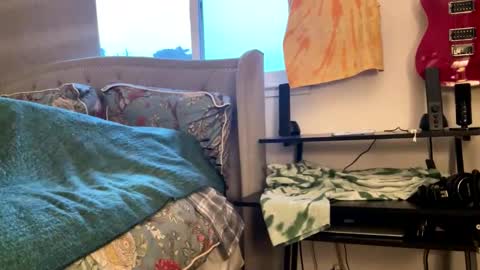 driving_perfectly online show from 4, 3, 2026