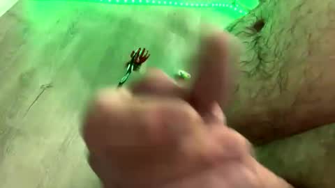 droppingloads82 online show from 1, 1, 2025