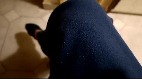 dthedog12 online show from 21, 2, 2025