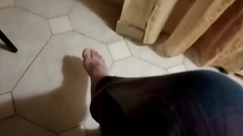 dthedog12 online show from 28, 10, 2025