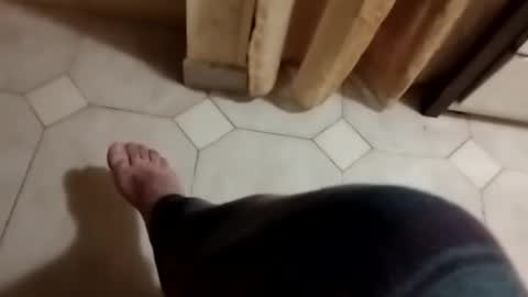 dthedog12 online show from 3, 11, 2025