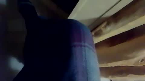 dthedog12 online show from 3, 12, 2025