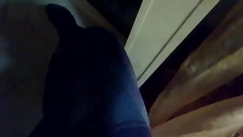 dthedog12 online show from 9, 1, 2026