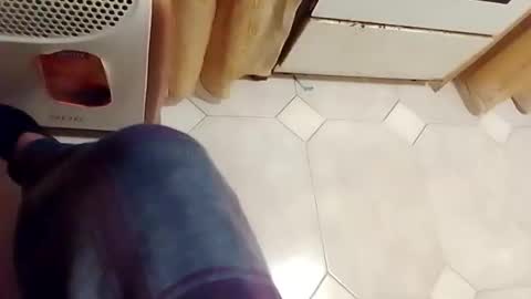 dthedog12 online show from 15, 2, 2026