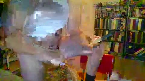 Snapshot of duallines2 chatting on 14, 3, 2026 duallines2 online show from 14, 3, 2026
