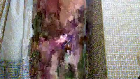 Snapshot of dublindub12 chatting on 2, 3, 2025 dublindub12 online show from 2, 3, 2025