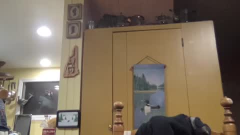 Snapshot of dudeinnh chatting on 31, 10, 2025 Steve online show from 31, 10, 2025