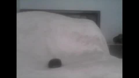 Snapshot of dudek0 chatting on 1, 11, 2025 dudek0 online show from 1, 11, 2025