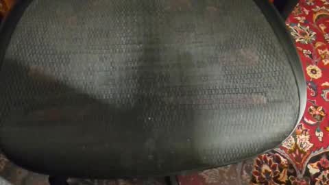 dudewipe online show from 7, 2, 2026